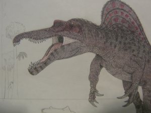 spinosaurus drawing 2.jpg