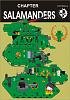 salamanders chapter 01.jpg