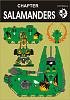 salamanders chapter 02.jpg