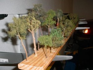 trees3.JPG