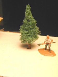 my first pine tree.jpg