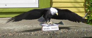 eagle with fish.jpg