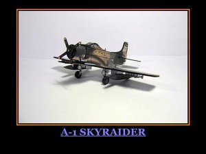 Skyraider 2.jpg