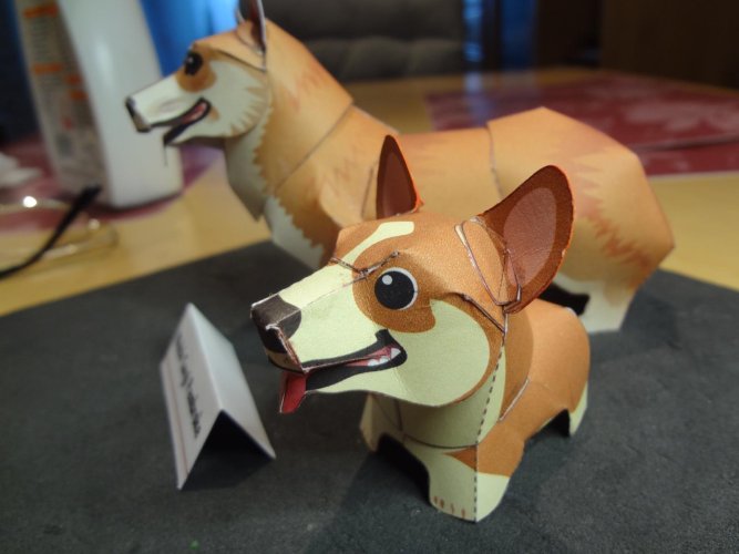 Corgi (3).JPG